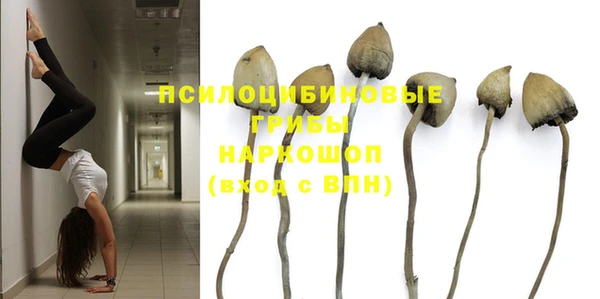 сатива Бугульма