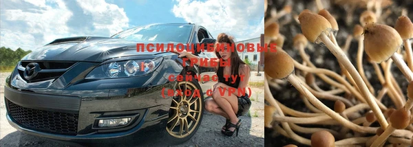 бутират Бородино