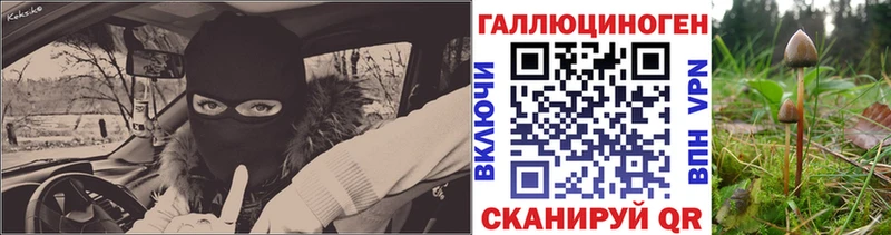 Псилоцибиновые грибы Psilocybine cubensis купить мега ТОР Каменногорск