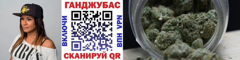 MEGA вход  Каменногорск  Конопля сатива  сайты даркнета официальный сайт  как найти  